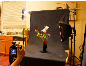 The Kitchen Table Studio